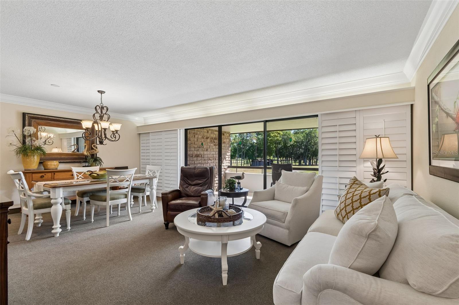 36750 US HIGHWAY 19 N #11205, PALM HARBOR, FL, 34684