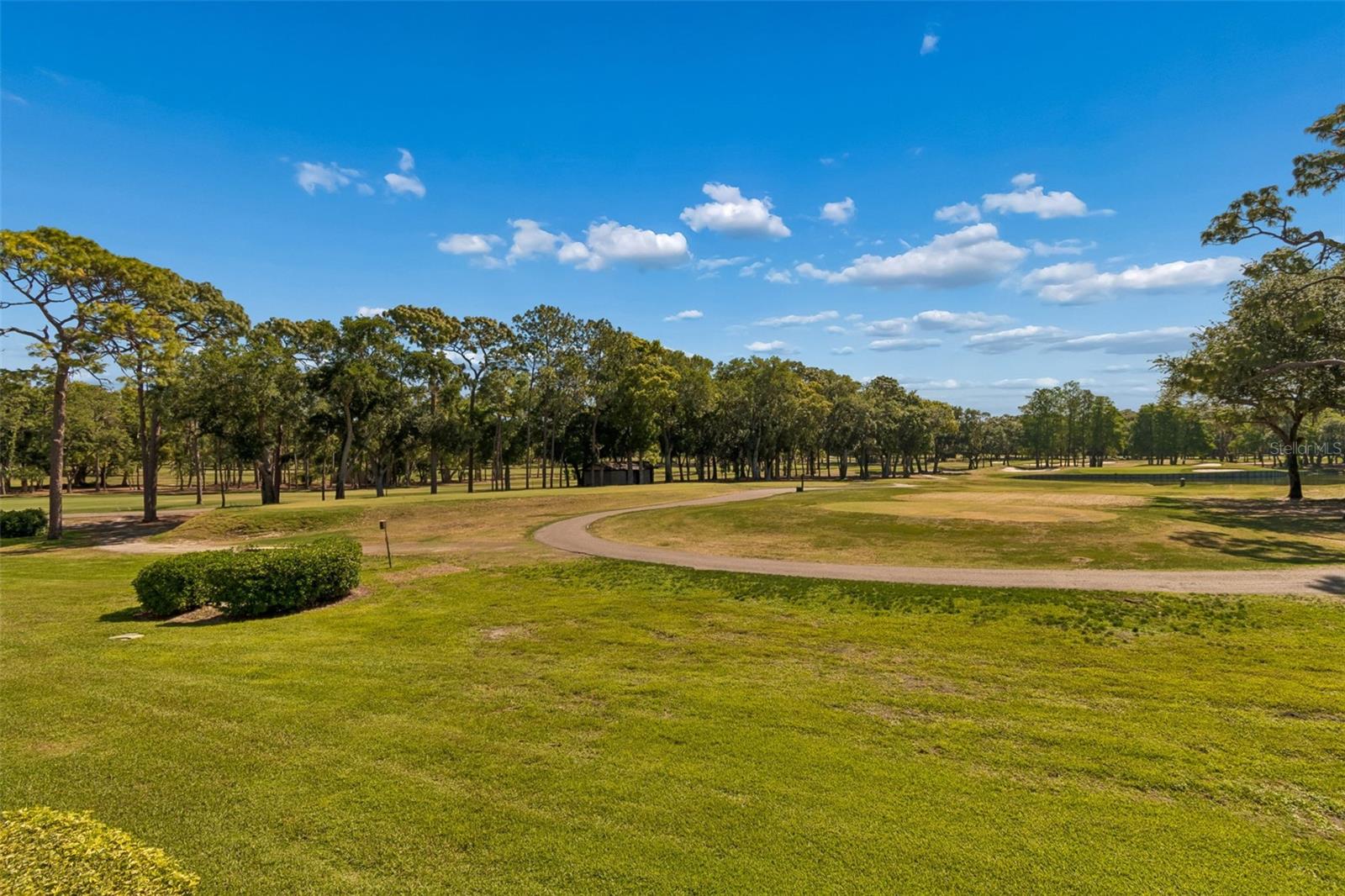 36750 US HIGHWAY 19 N #11205, PALM HARBOR, FL, 34684