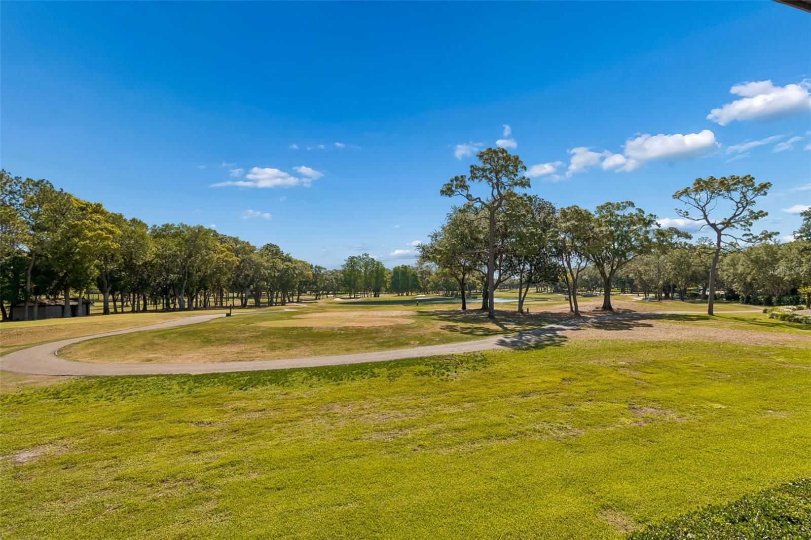 36750 US HIGHWAY 19 N #11205, PALM HARBOR, FL, 34684