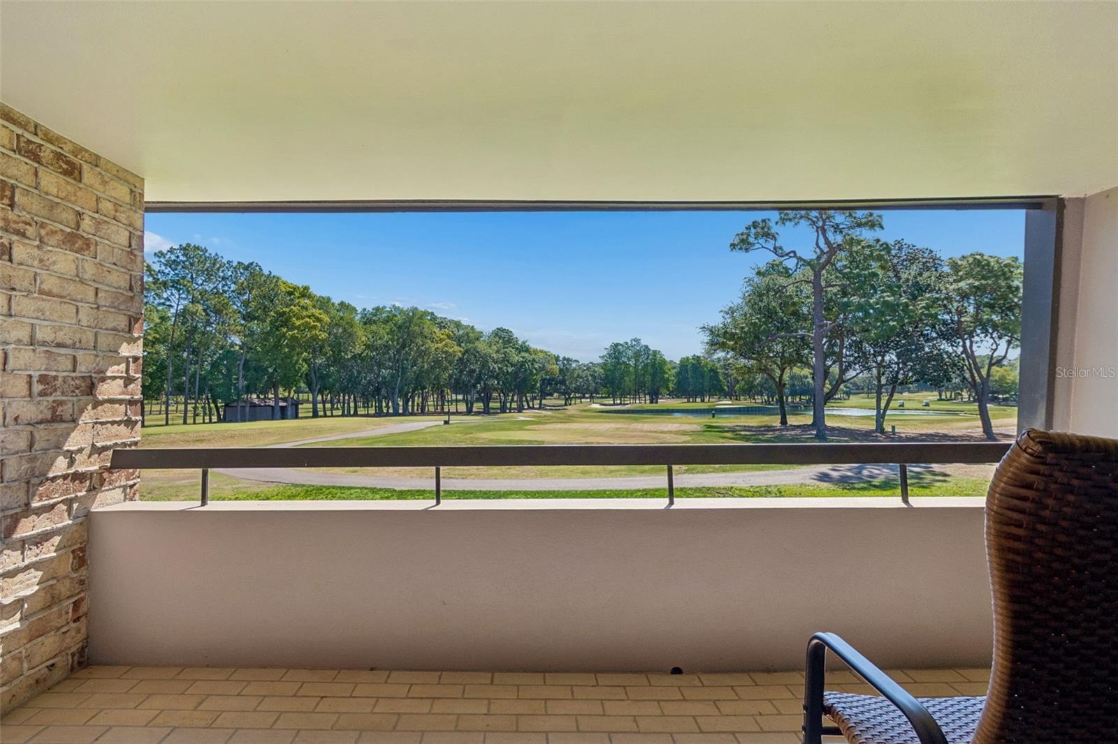 36750 US HIGHWAY 19 N #11205, PALM HARBOR, FL, 34684