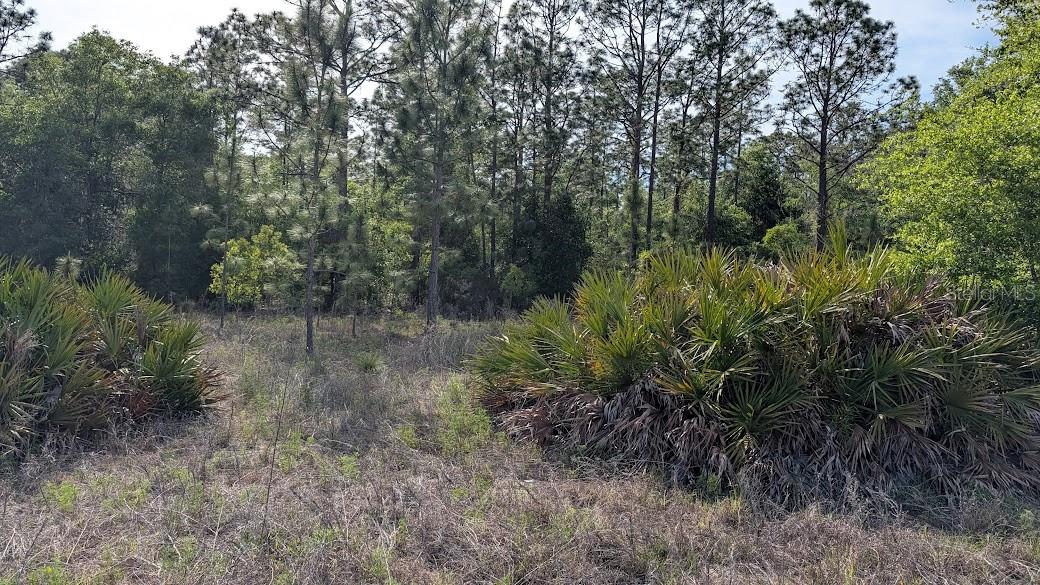 Lot 88 SW 152 ND CT, OCALA, FL, 34481