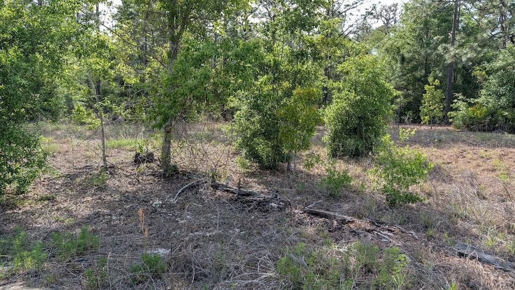 Lot 88 SW 152 ND CT, OCALA, FL, 34481