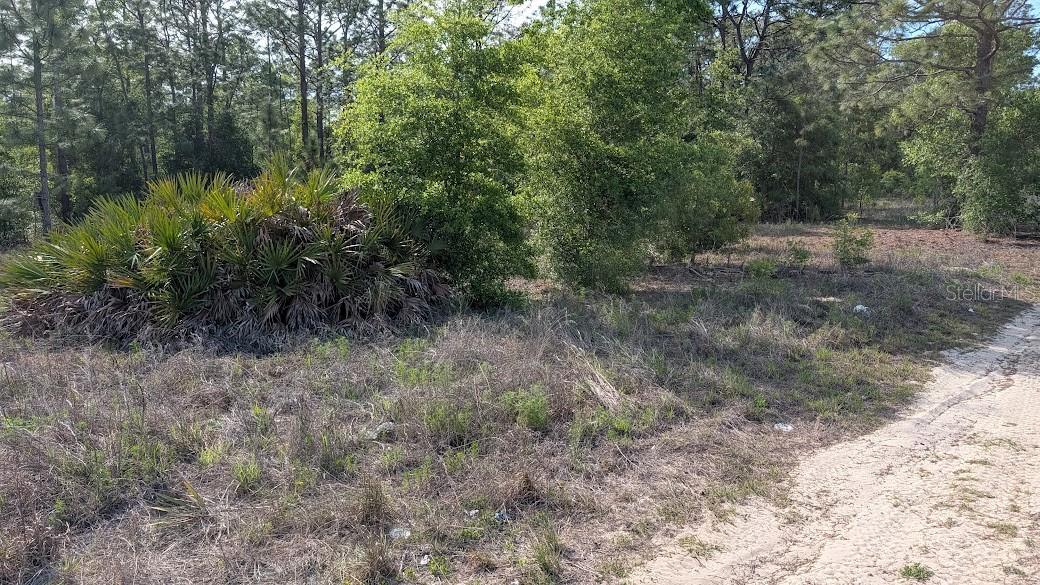 Lot 88 SW 152 ND CT, OCALA, FL, 34481