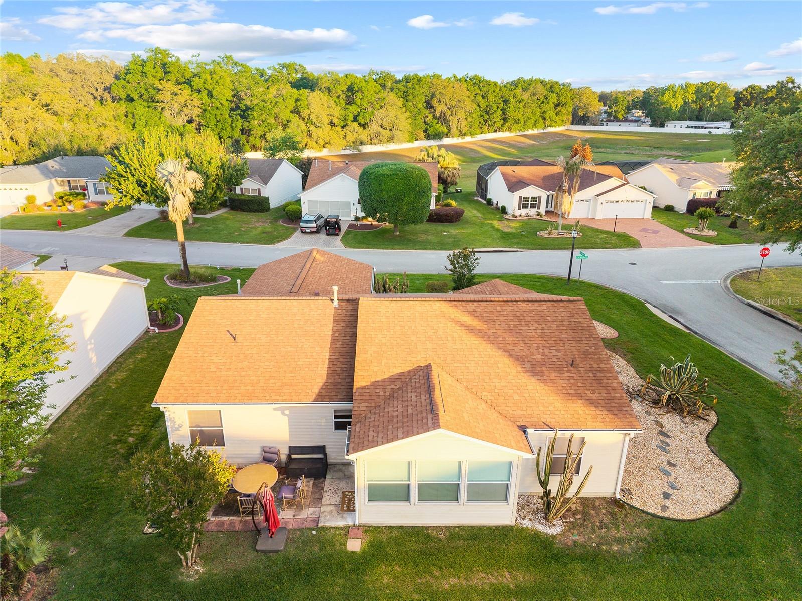 17009 SE 96TH CHAPELWOOD CIR, THE VILLAGES, FL, 32162