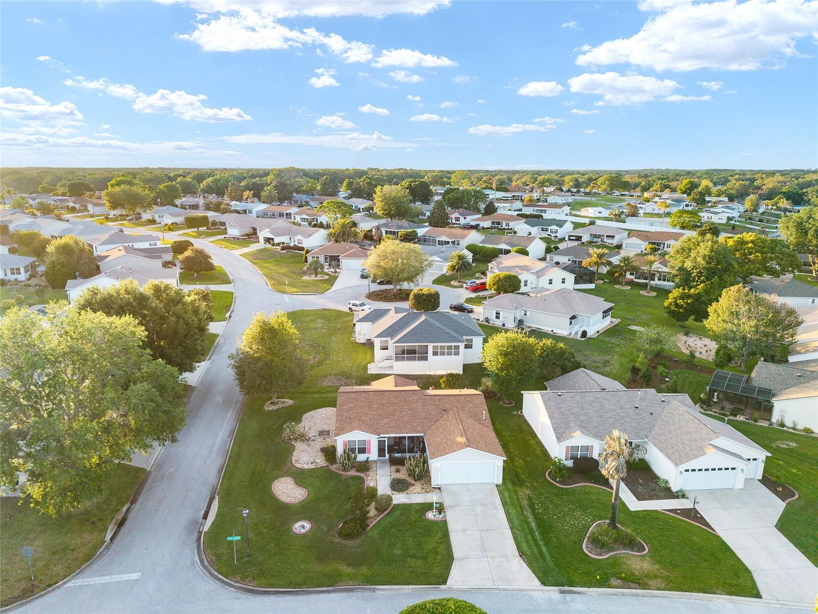 17009 SE 96TH CHAPELWOOD CIR, THE VILLAGES, FL, 32162