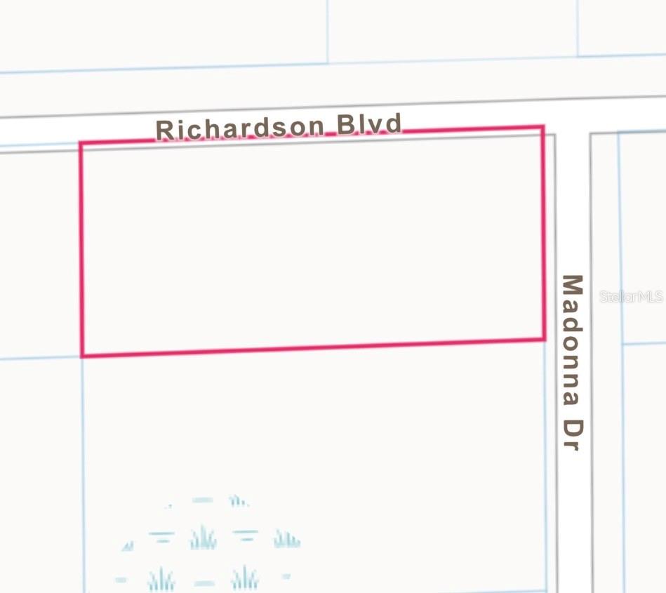 0 RICHARDSON BLVD, LOT 1, WEBSTER, FL, 33597