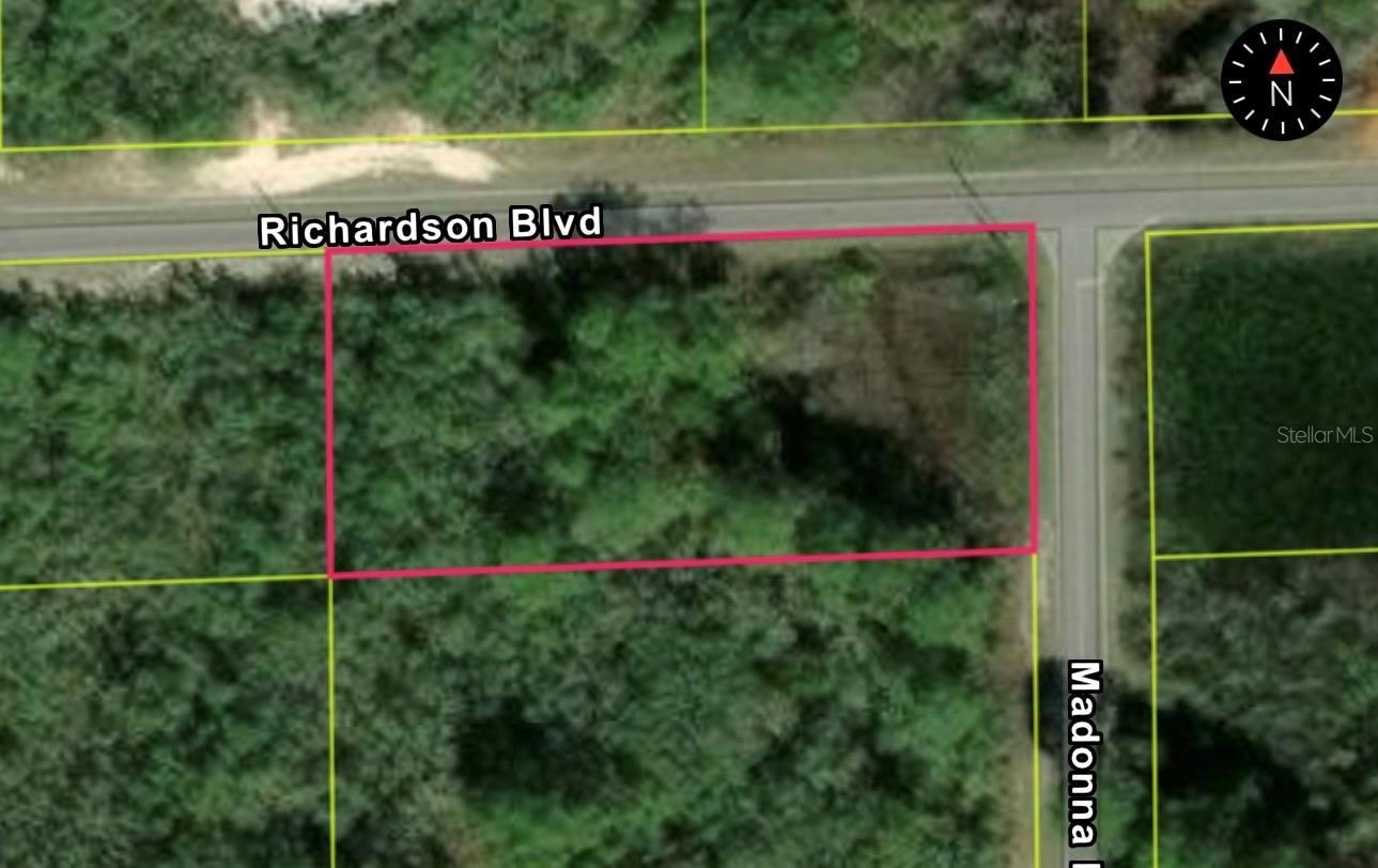 0 RICHARDSON BLVD, LOT 1, WEBSTER, FL, 33597