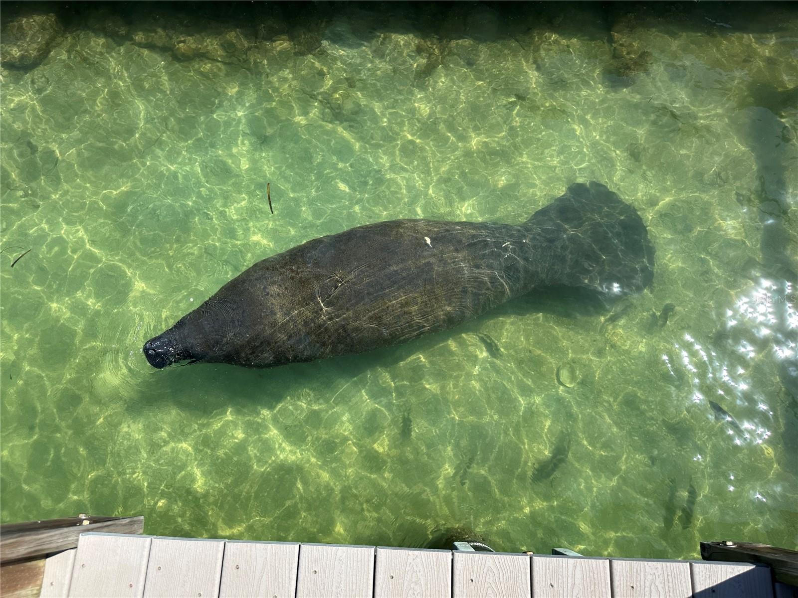 1100 PINELLAS BAYWAY S #G2, TIERRA VERDE, FL, 33715