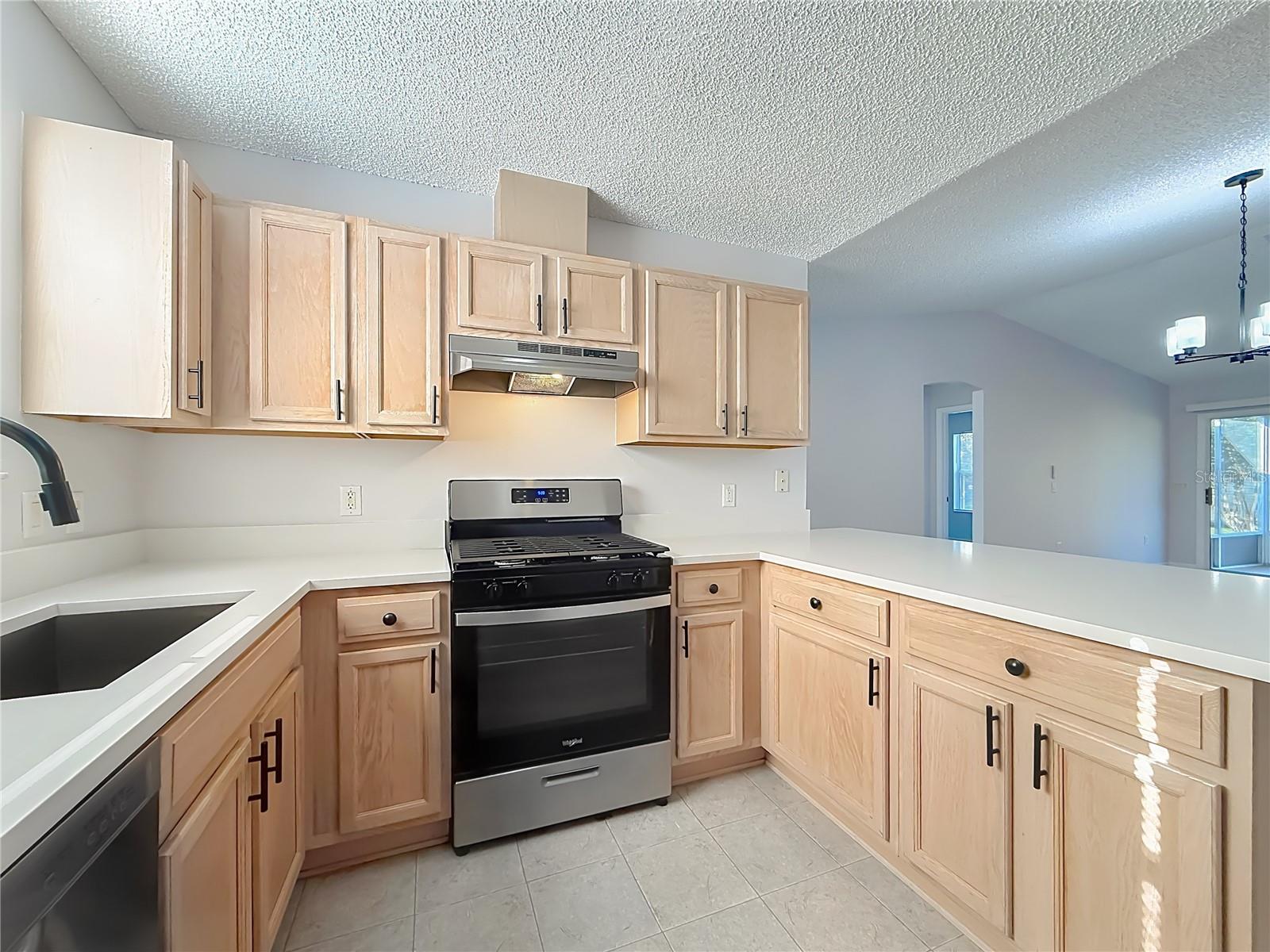 3248 RICHMOND DR, THE VILLAGES, FL, 32162