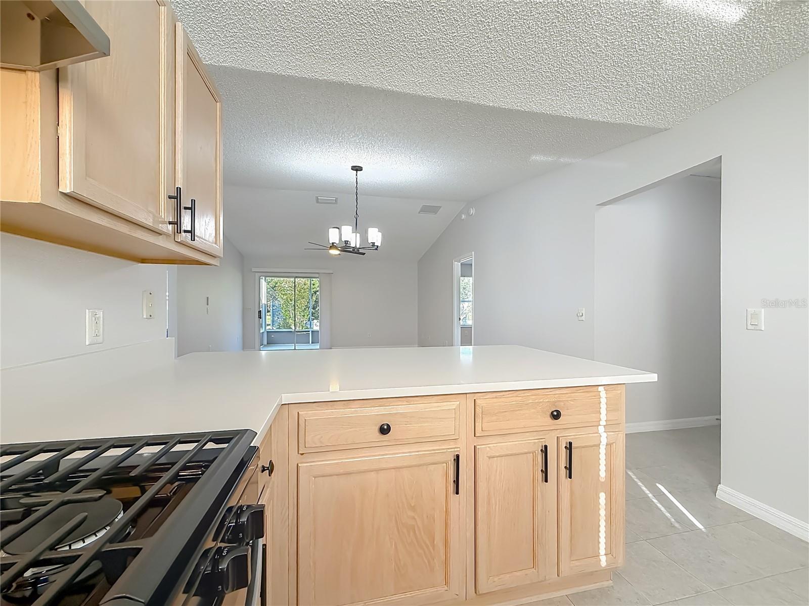 3248 RICHMOND DR, THE VILLAGES, FL, 32162