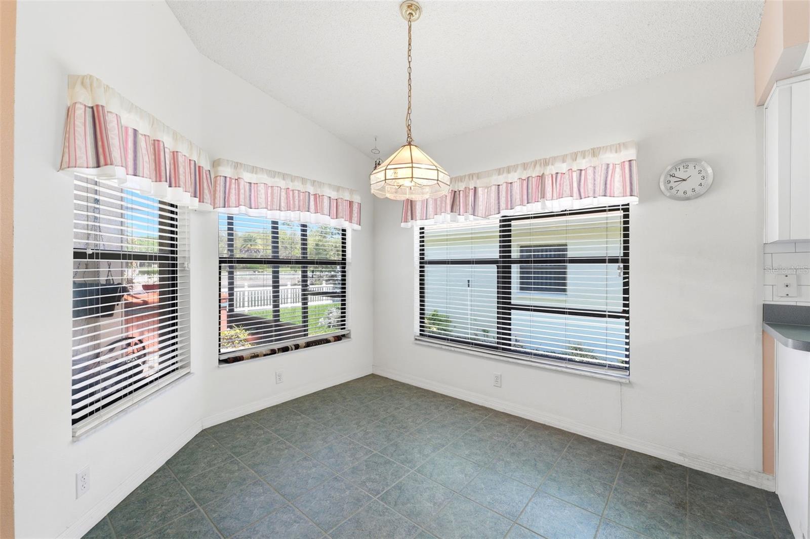 11127 CHERRYWOOD CT, SPRING HILL, FL, 34609