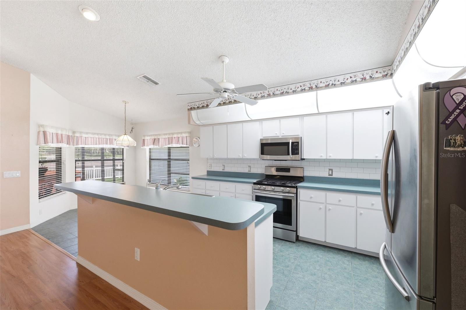 11127 CHERRYWOOD CT, SPRING HILL, FL, 34609