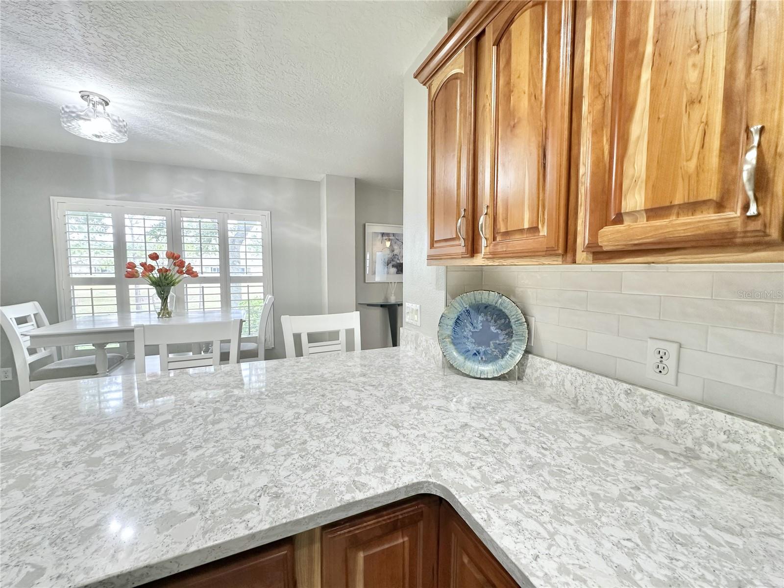 4313 ARLINGTON RIDGE BLVD, LEESBURG, FL, 34748