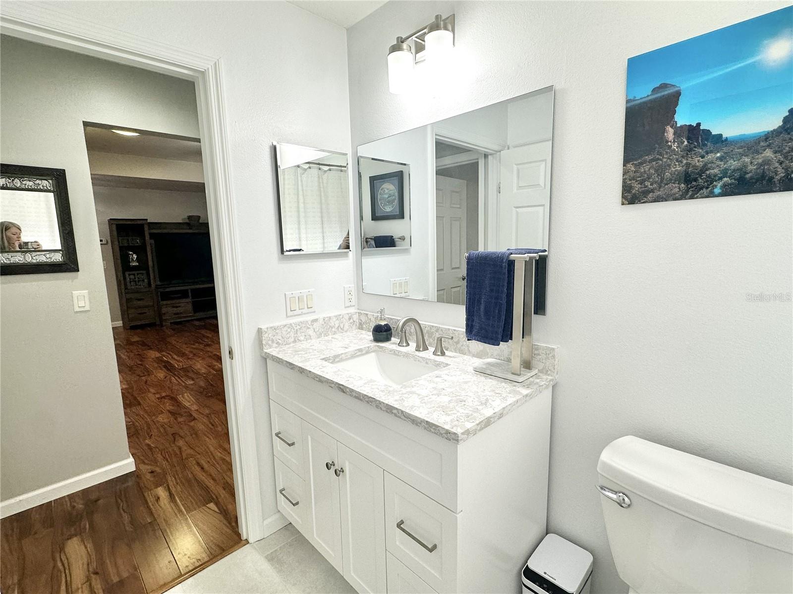 4313 ARLINGTON RIDGE BLVD, LEESBURG, FL, 34748