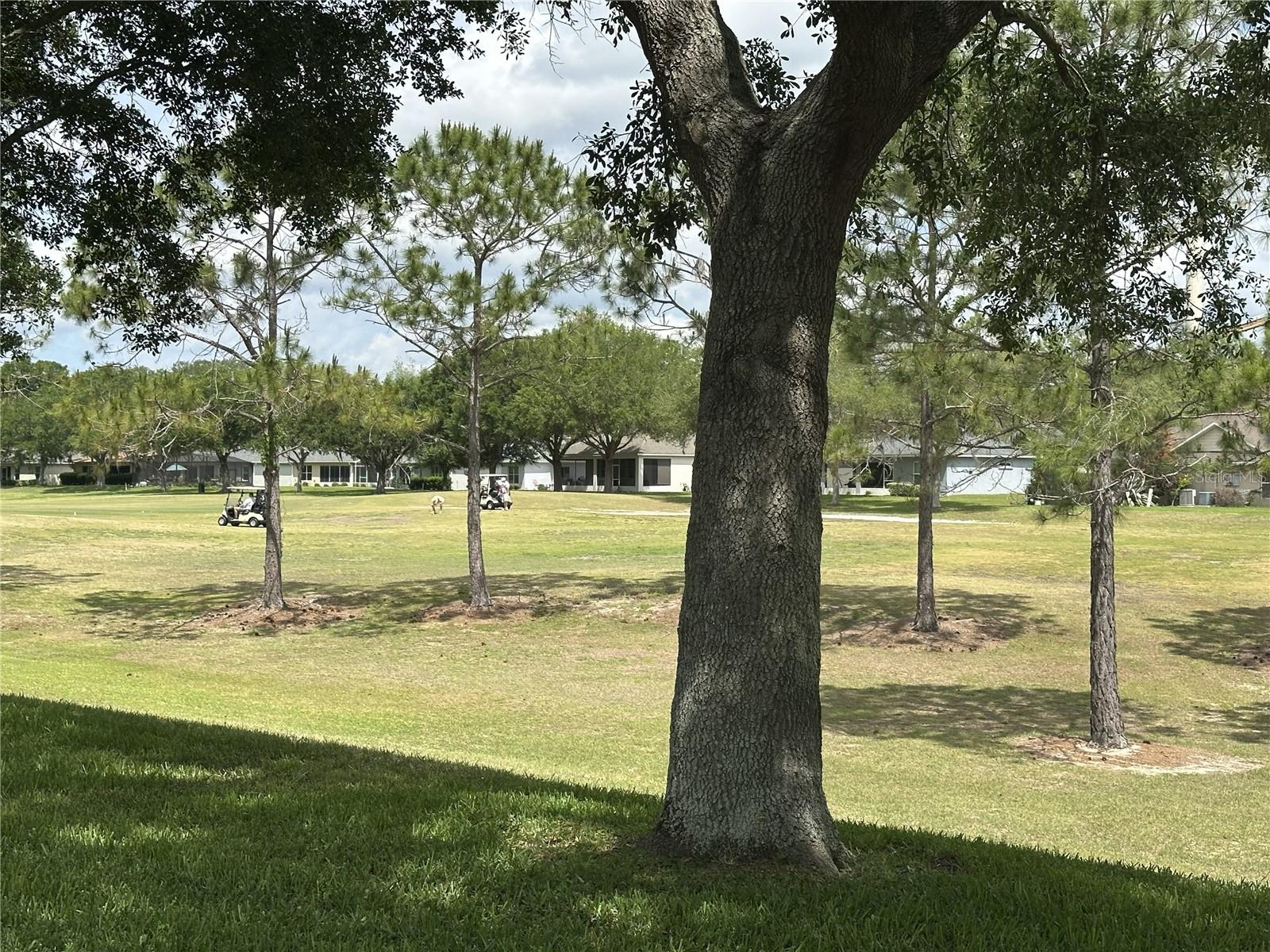 4313 ARLINGTON RIDGE BLVD, LEESBURG, FL, 34748