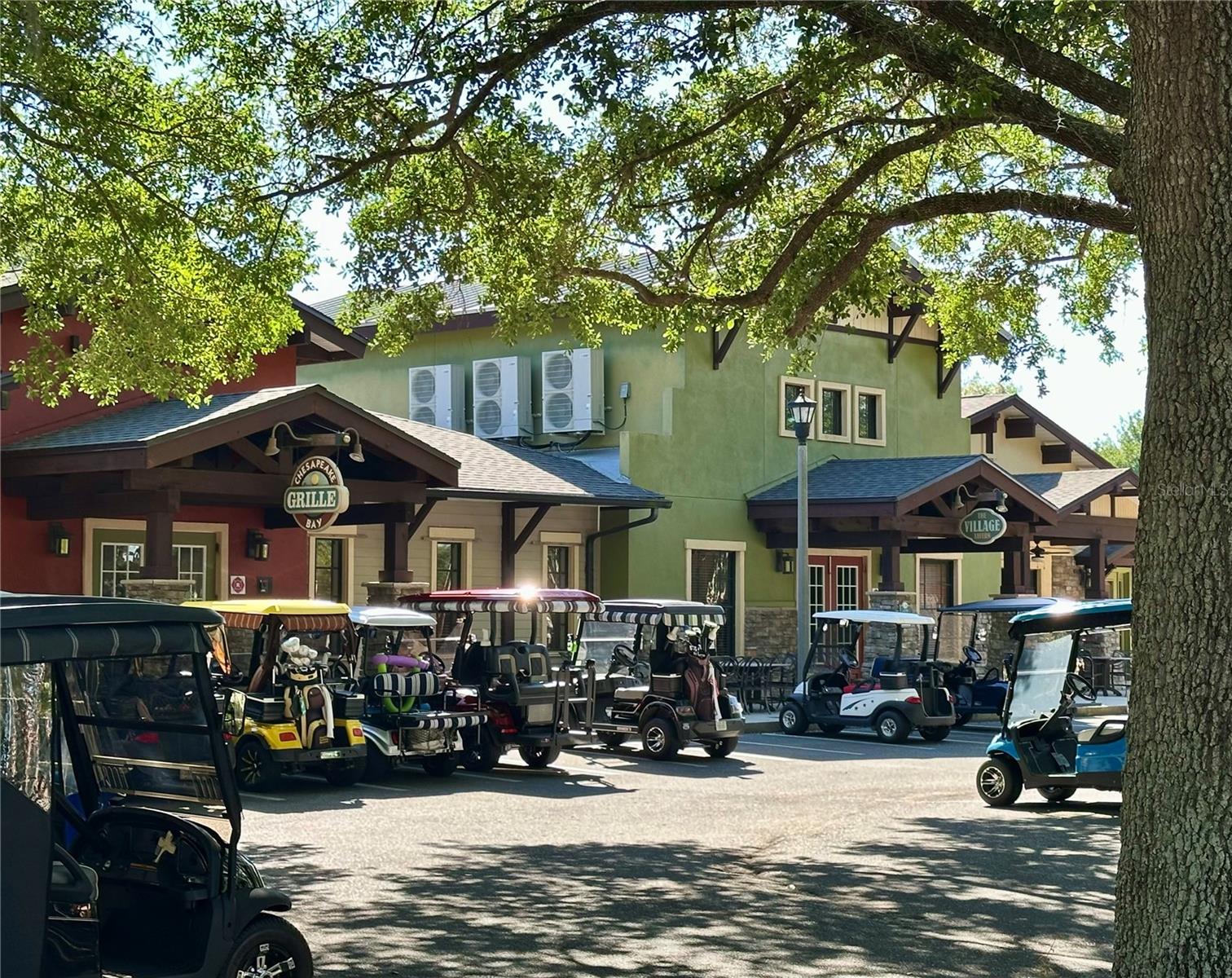 4313 ARLINGTON RIDGE BLVD, LEESBURG, FL, 34748