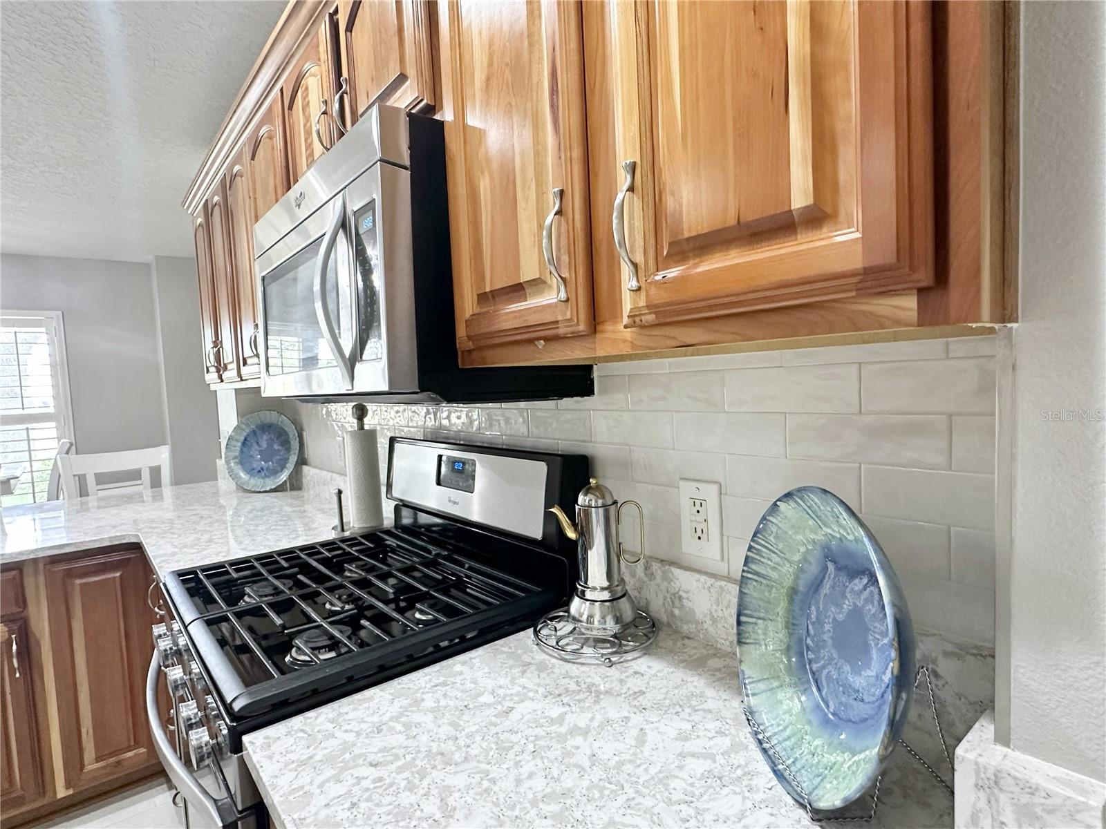 4313 ARLINGTON RIDGE BLVD, LEESBURG, FL, 34748