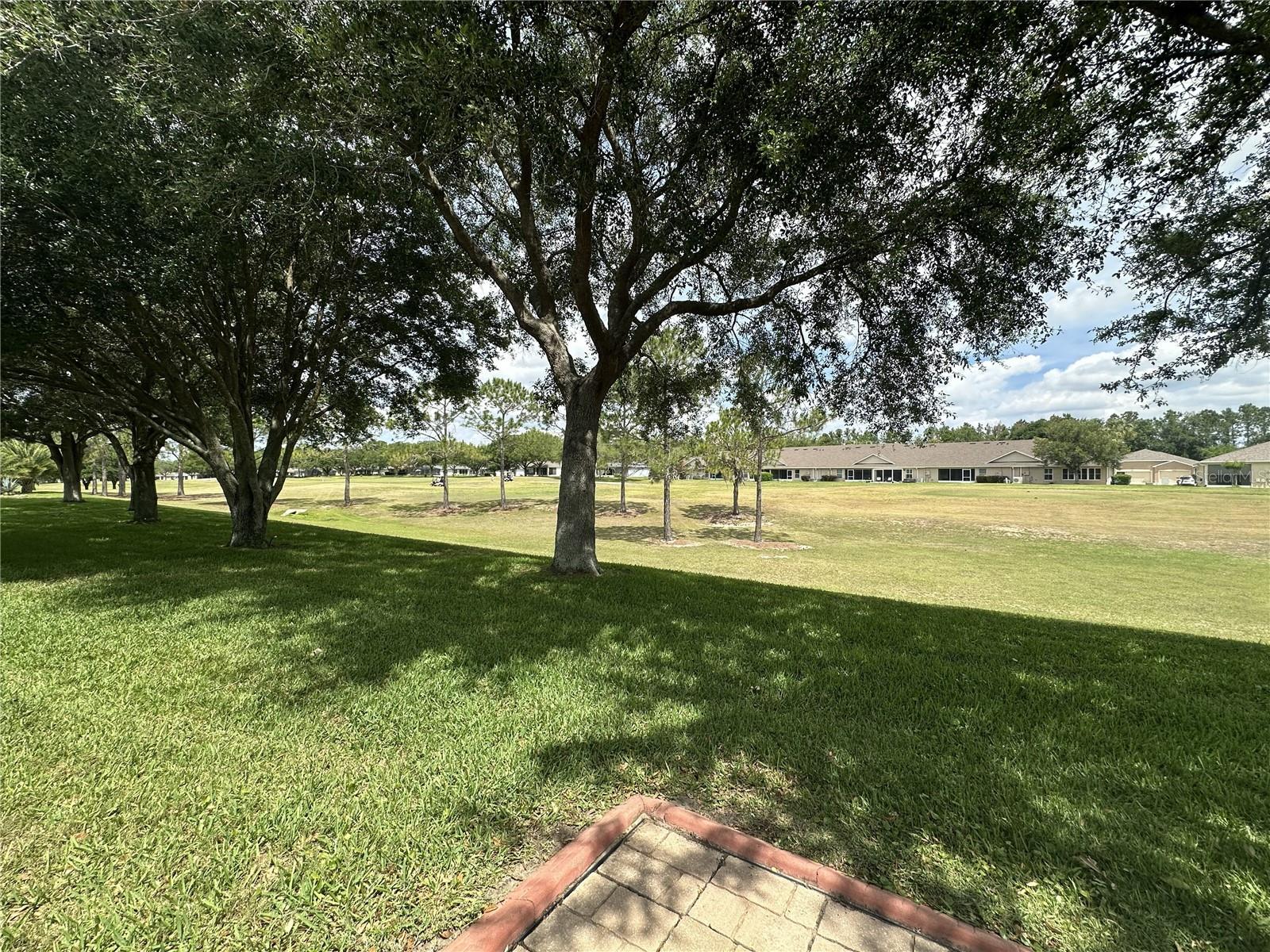 4313 ARLINGTON RIDGE BLVD, LEESBURG, FL, 34748