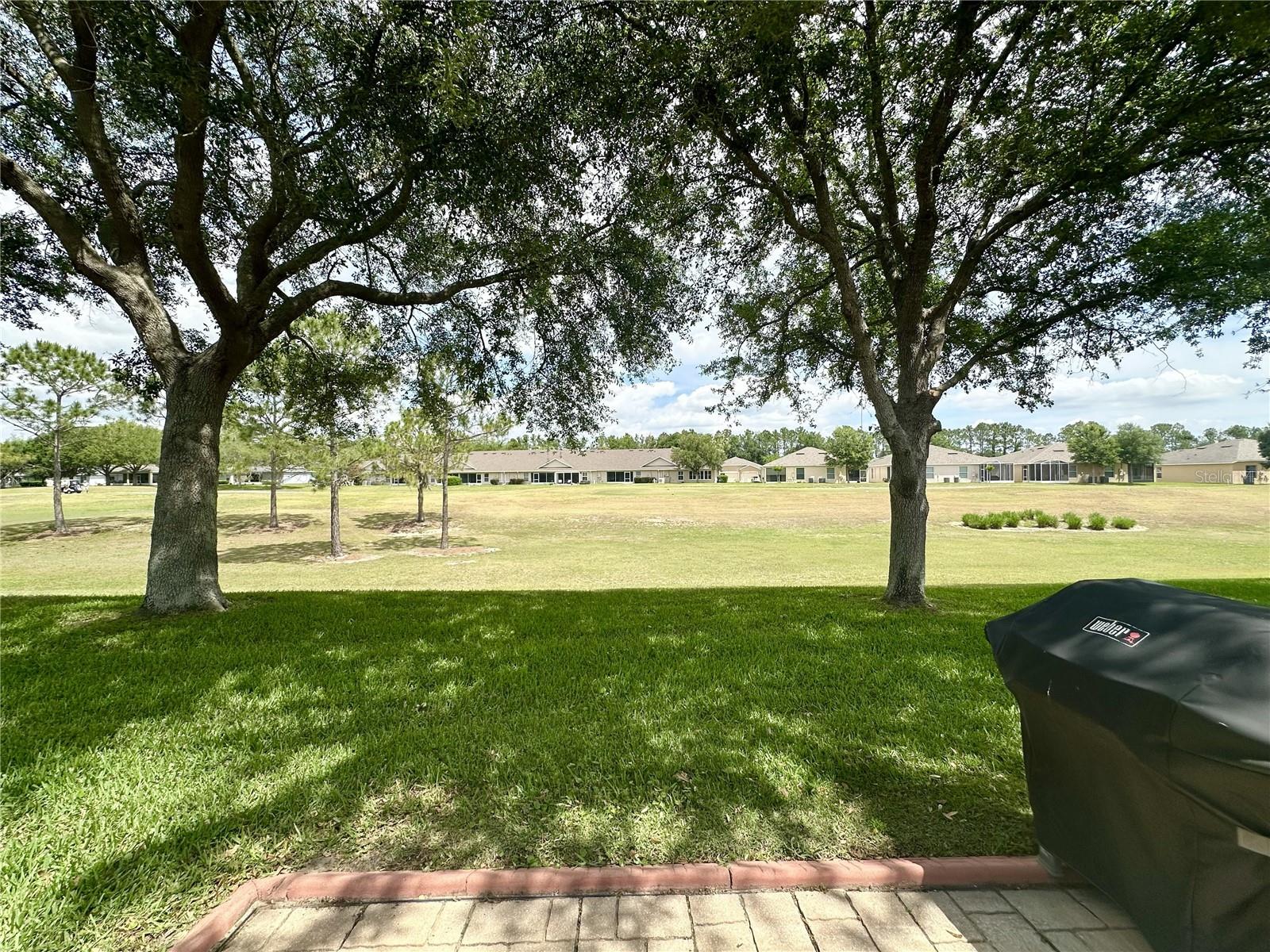 4313 ARLINGTON RIDGE BLVD, LEESBURG, FL, 34748