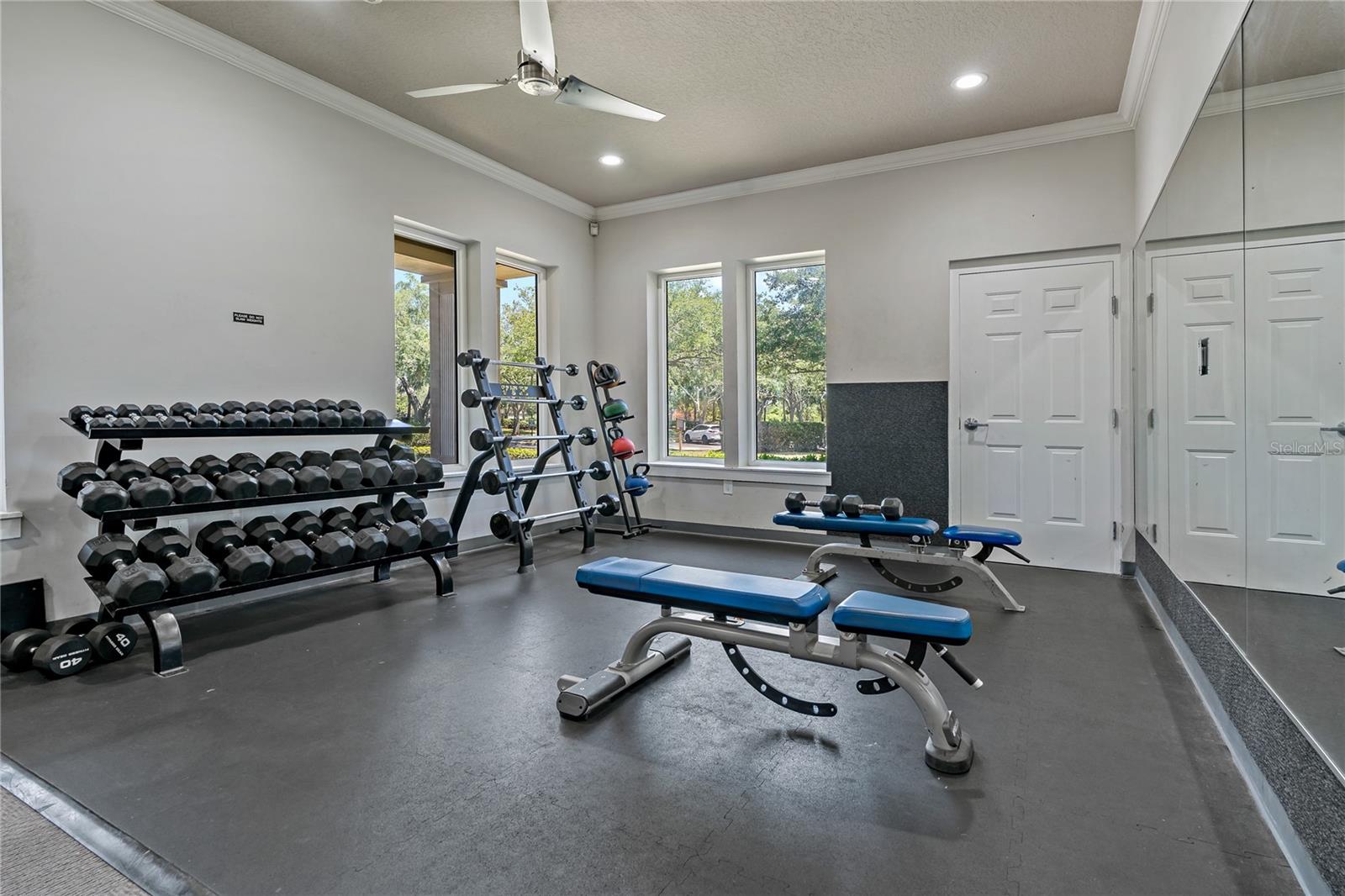 8118 STONE PATH WAY, TAMPA, FL, 33647