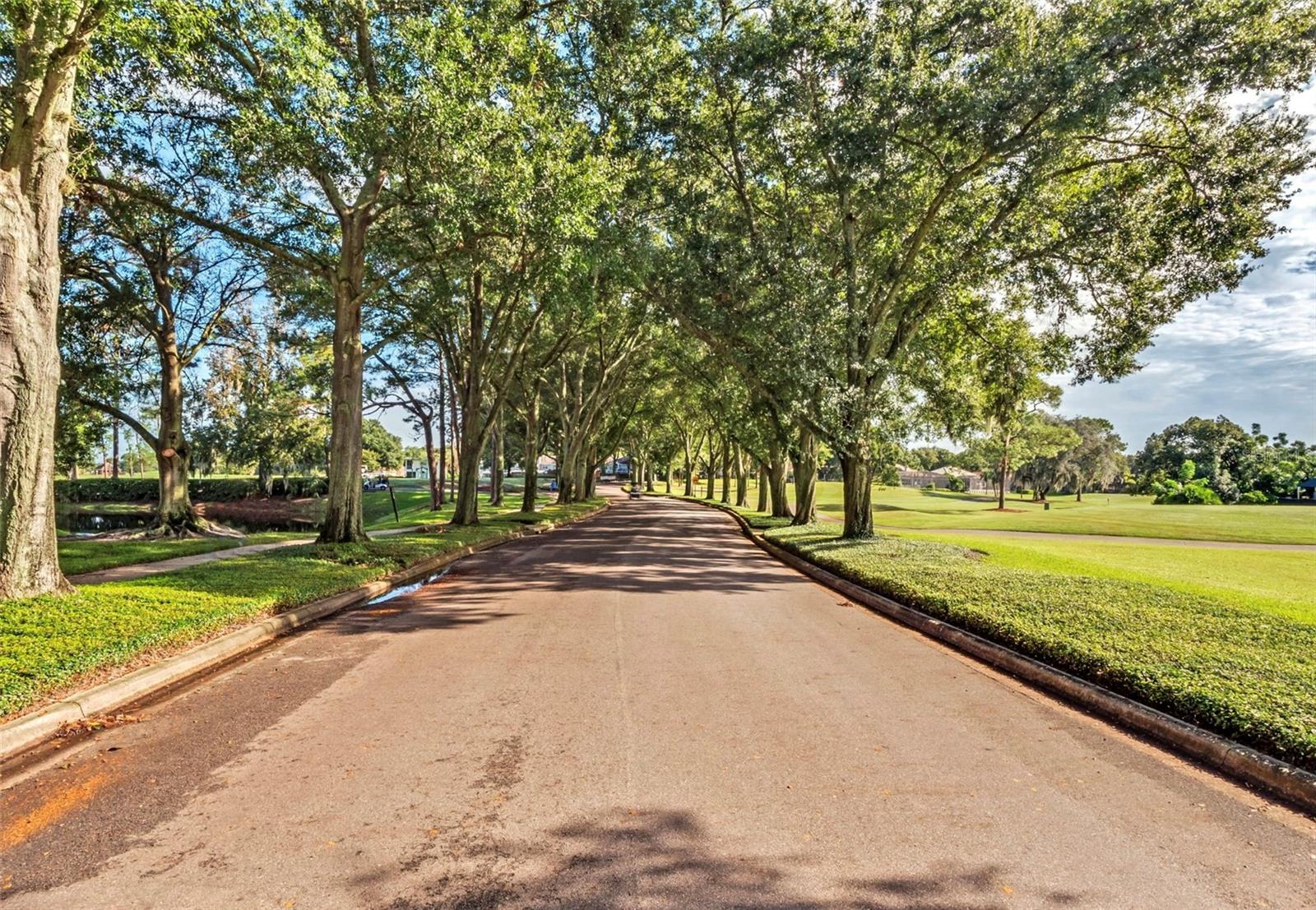 1250 E LANGLEY CT, LAKE MARY, FL, 32746