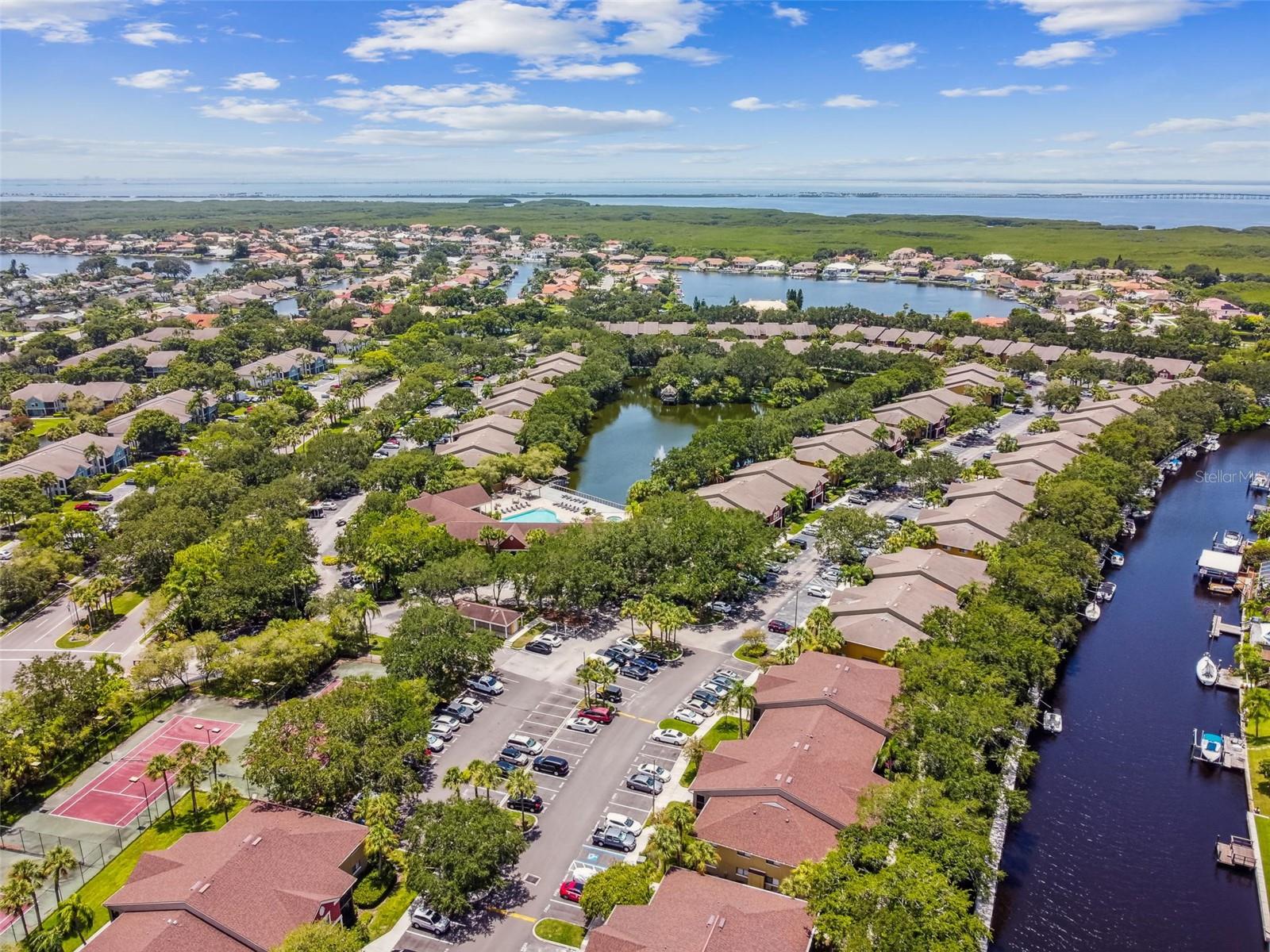 5558 BAYWATER DR #167, TAMPA, FL, 33615