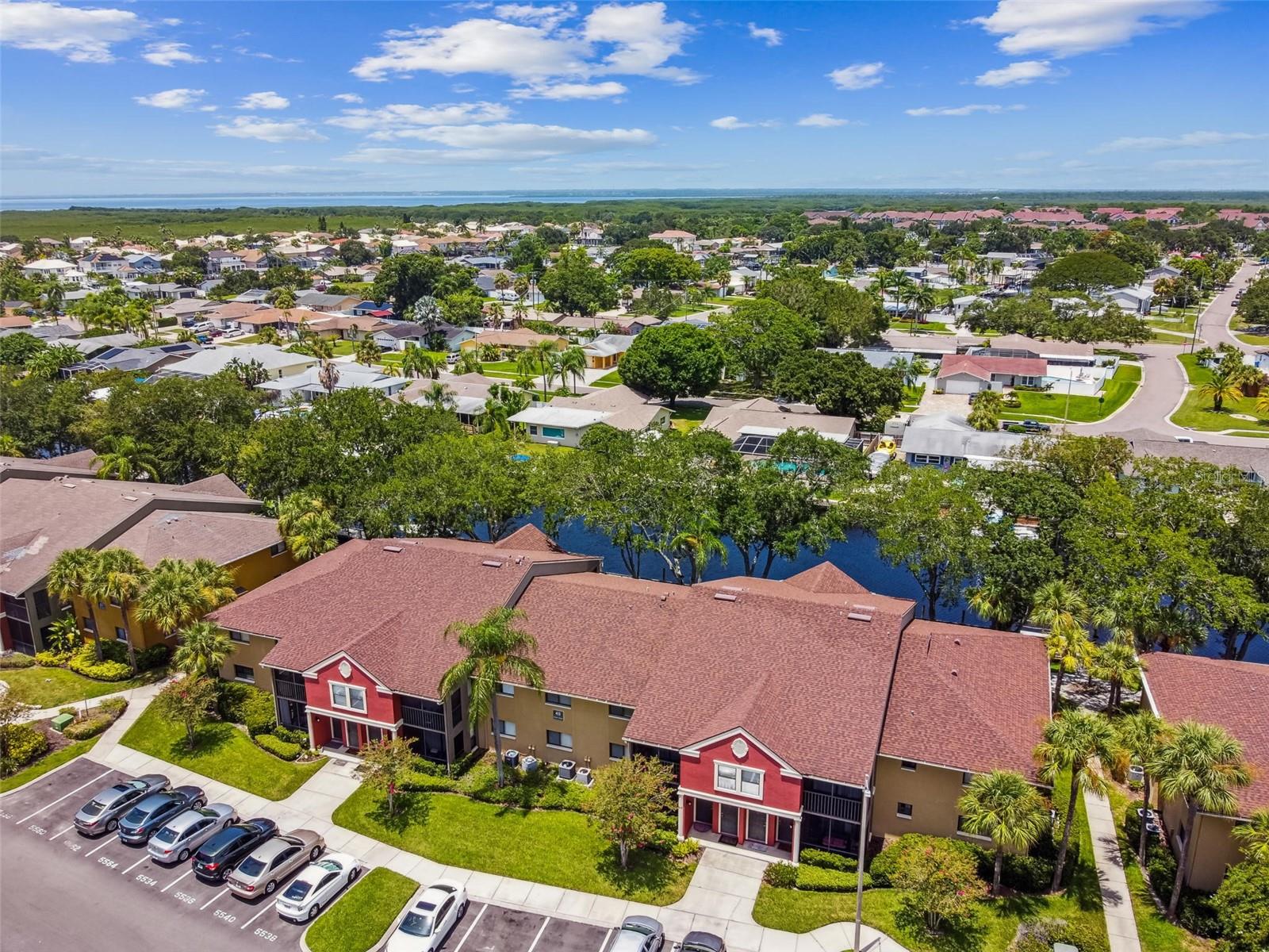 5558 BAYWATER DR #167, TAMPA, FL, 33615