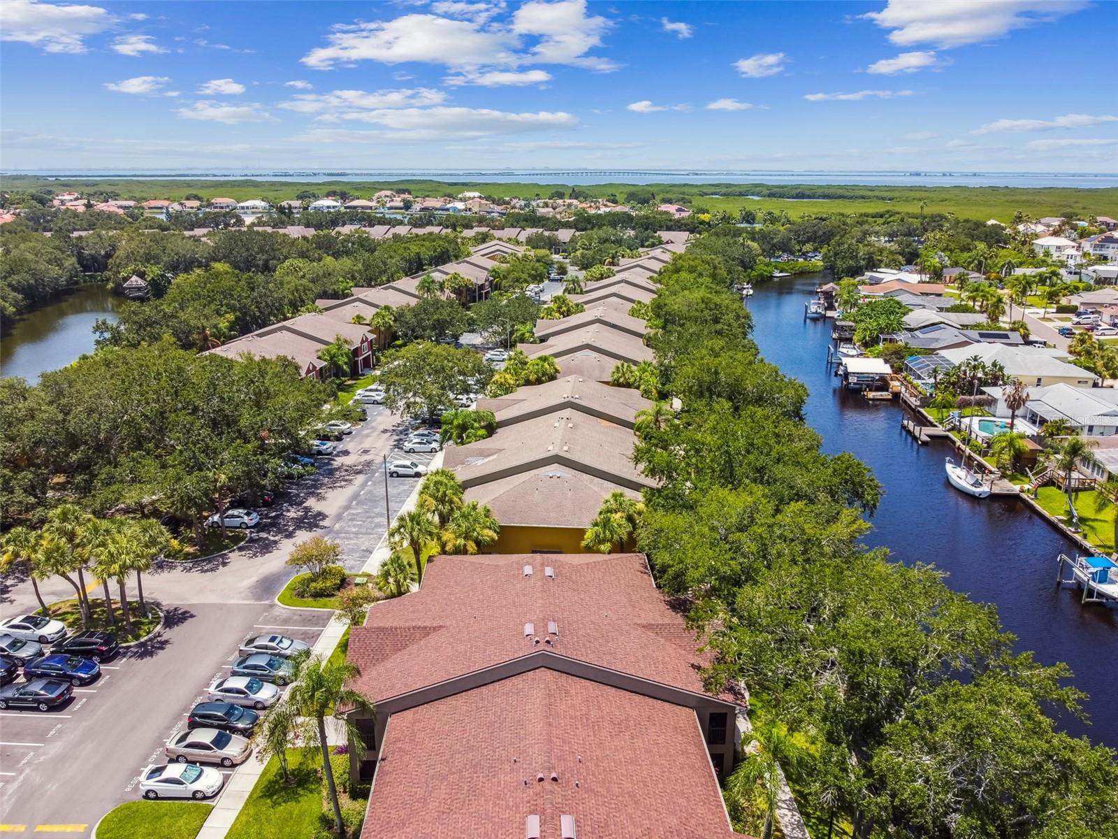 5558 BAYWATER DR #167, TAMPA, FL, 33615