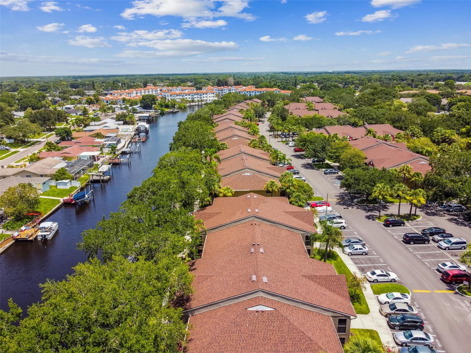 5558 BAYWATER DR #167, TAMPA, FL, 33615