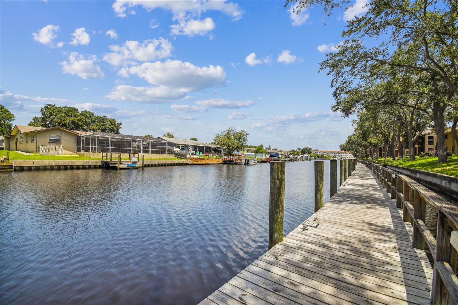 5558 BAYWATER DR #167, TAMPA, FL, 33615