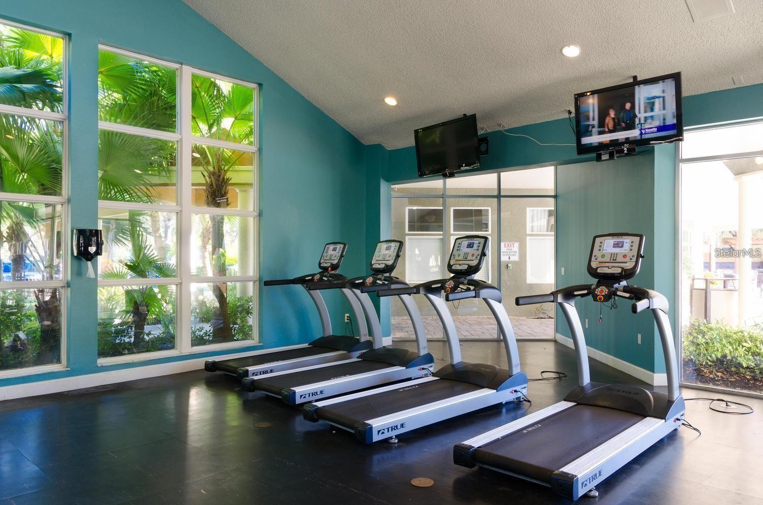 5558 BAYWATER DR #167, TAMPA, FL, 33615