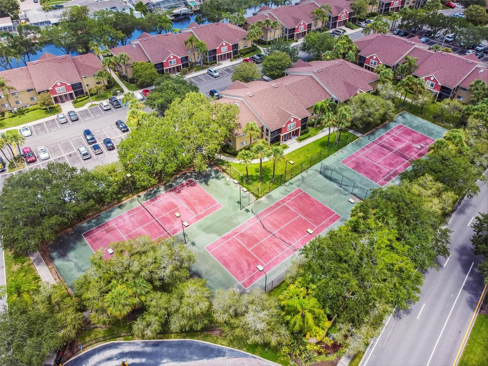 5558 BAYWATER DR #167, TAMPA, FL, 33615