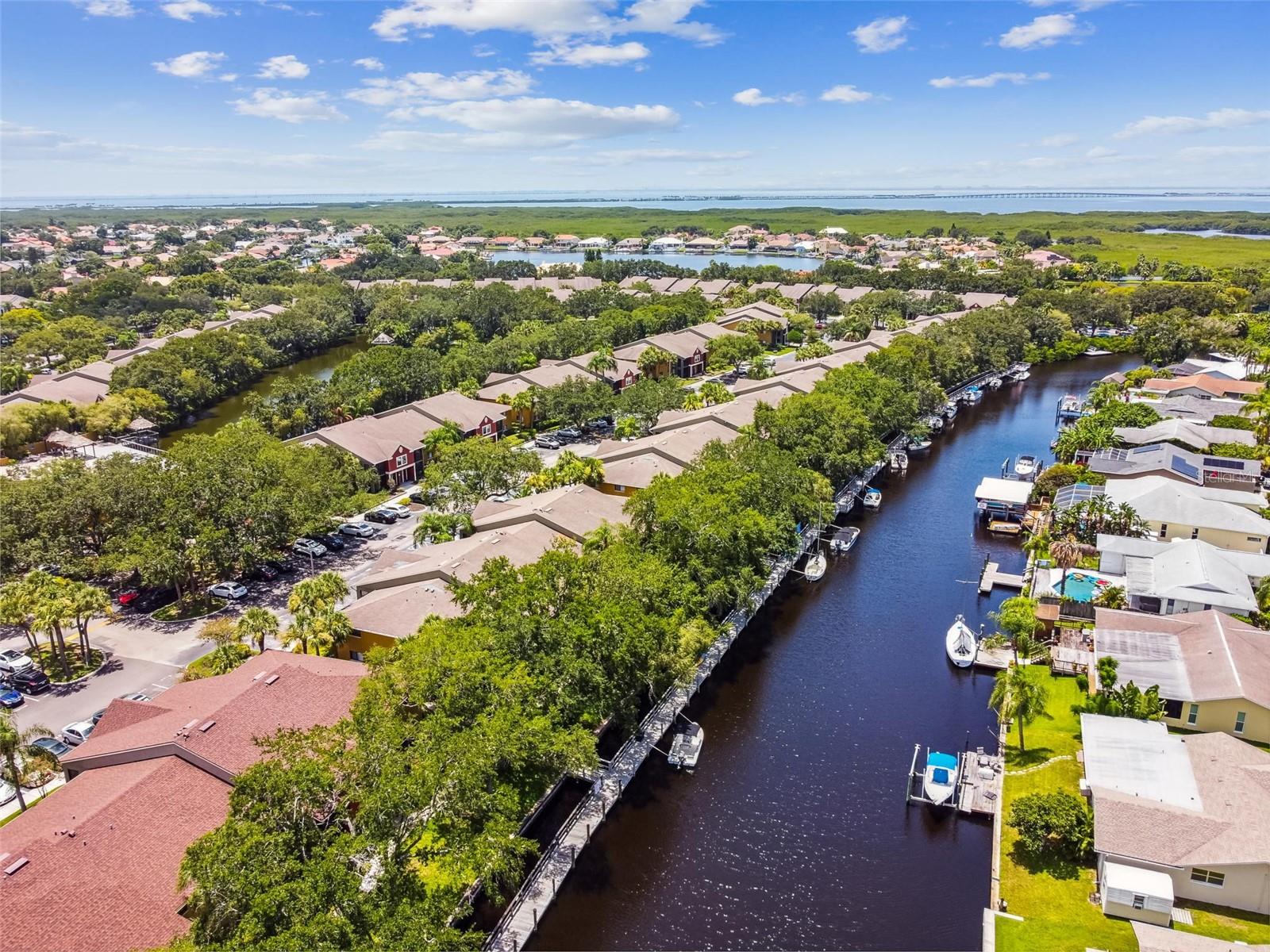 5558 BAYWATER DR #167, TAMPA, FL, 33615