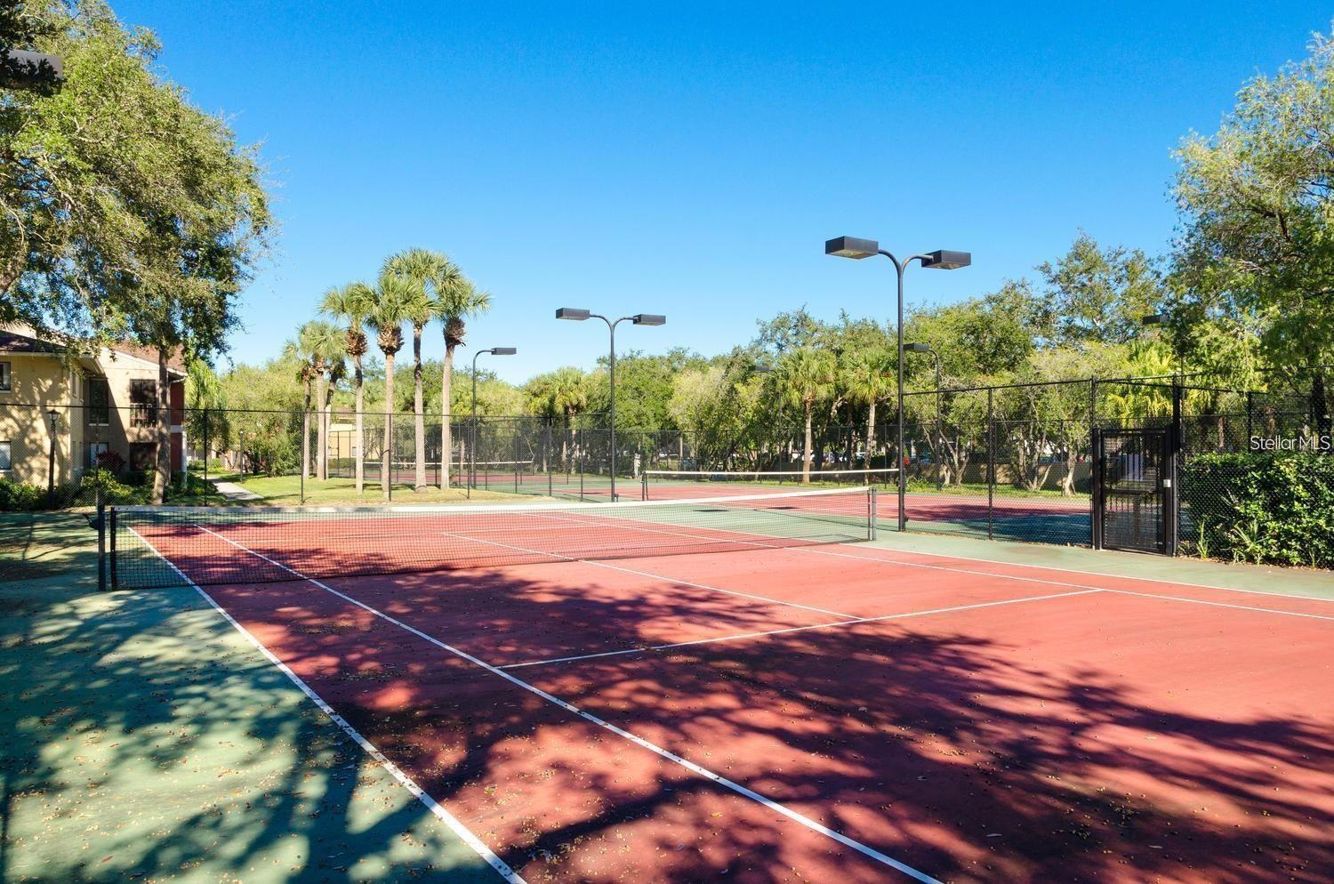 5558 BAYWATER DR #167, TAMPA, FL, 33615