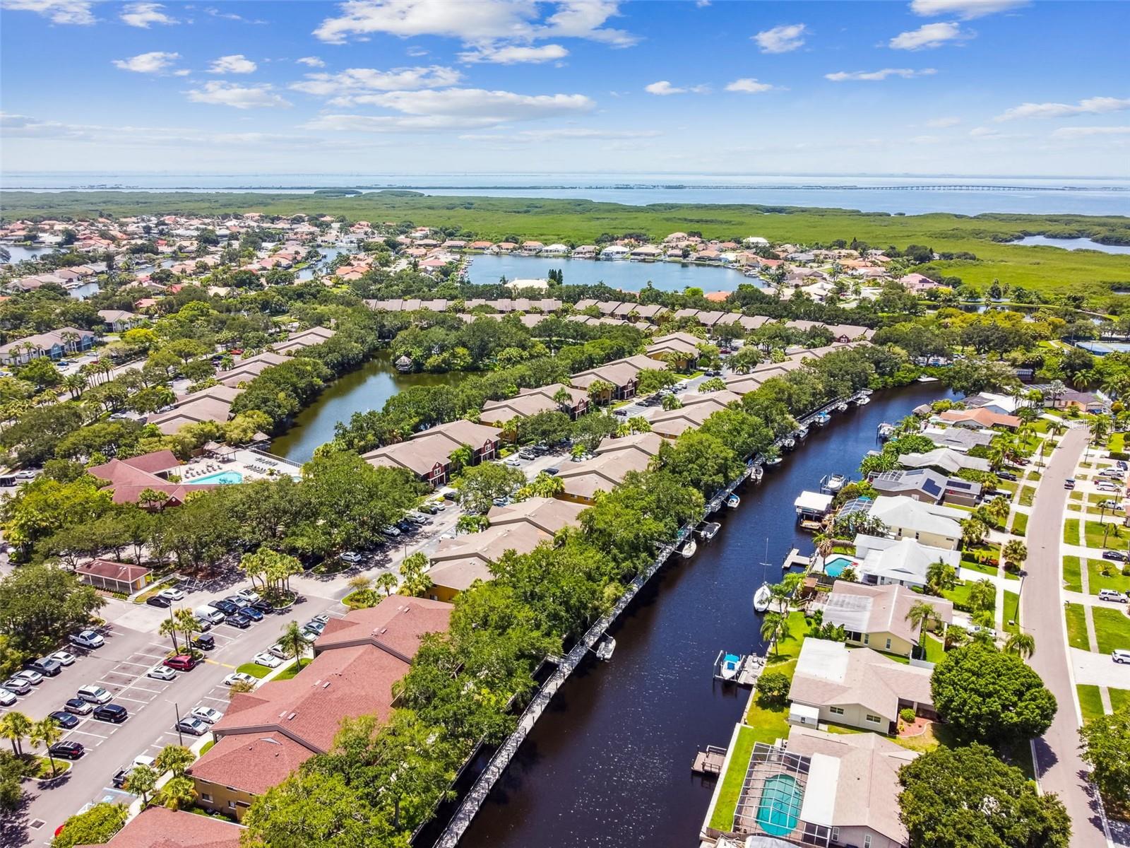 5558 BAYWATER DR #167, TAMPA, FL, 33615