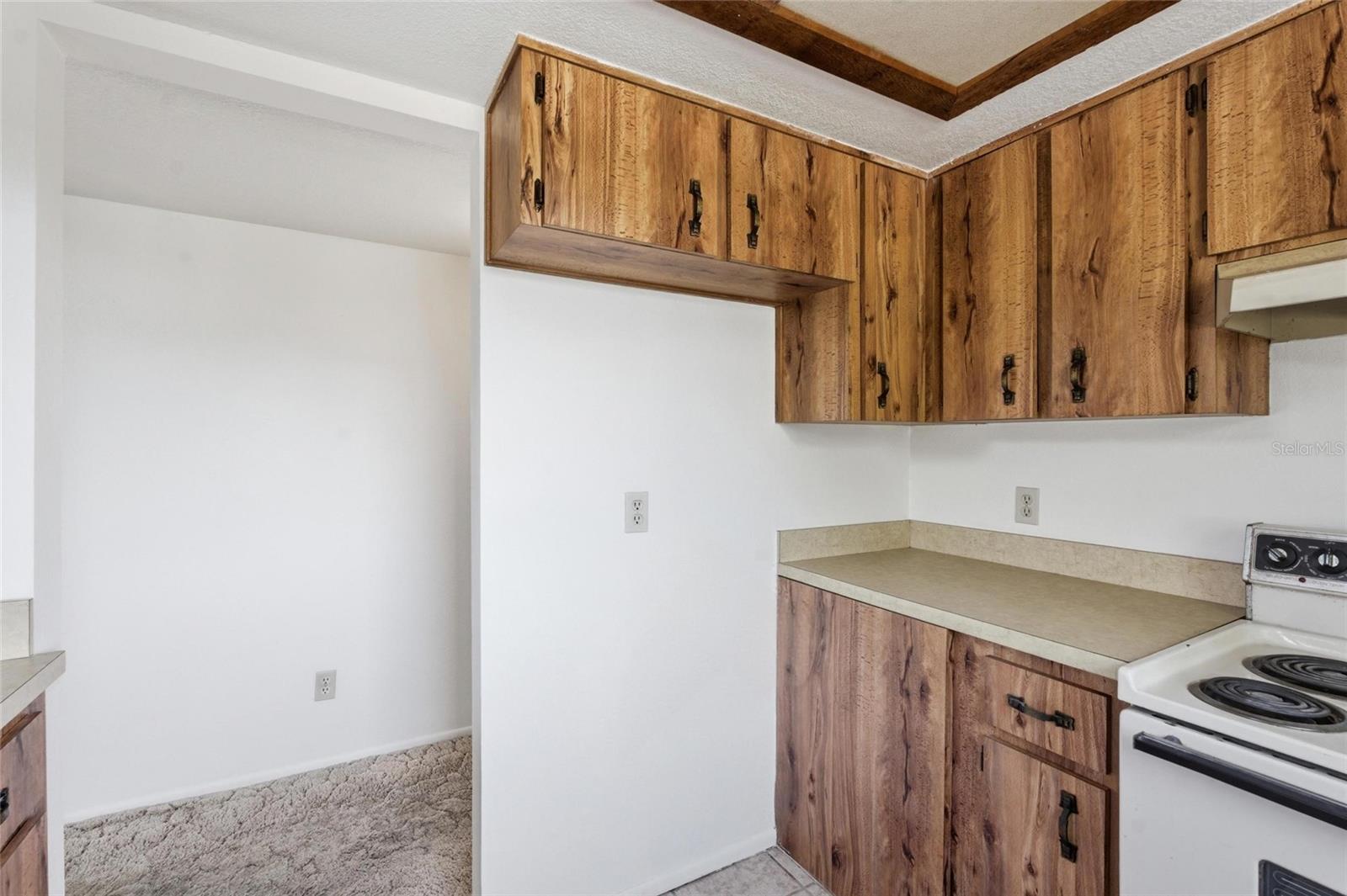 8221 RIVERSIDE DR NE, ST PETERSBURG, FL, 33702