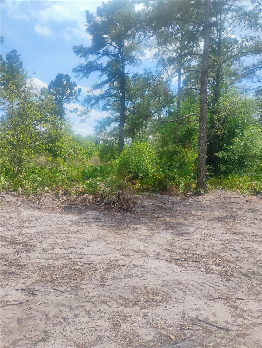 PARK FOREST BLVD, MOUNT DORA, FL, 32757