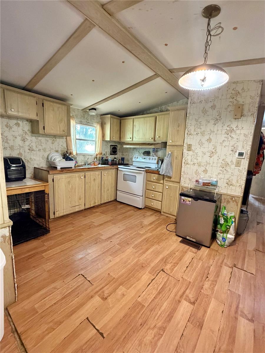 9165 STARFISH AVE, FLORAL CITY, FL, 34436