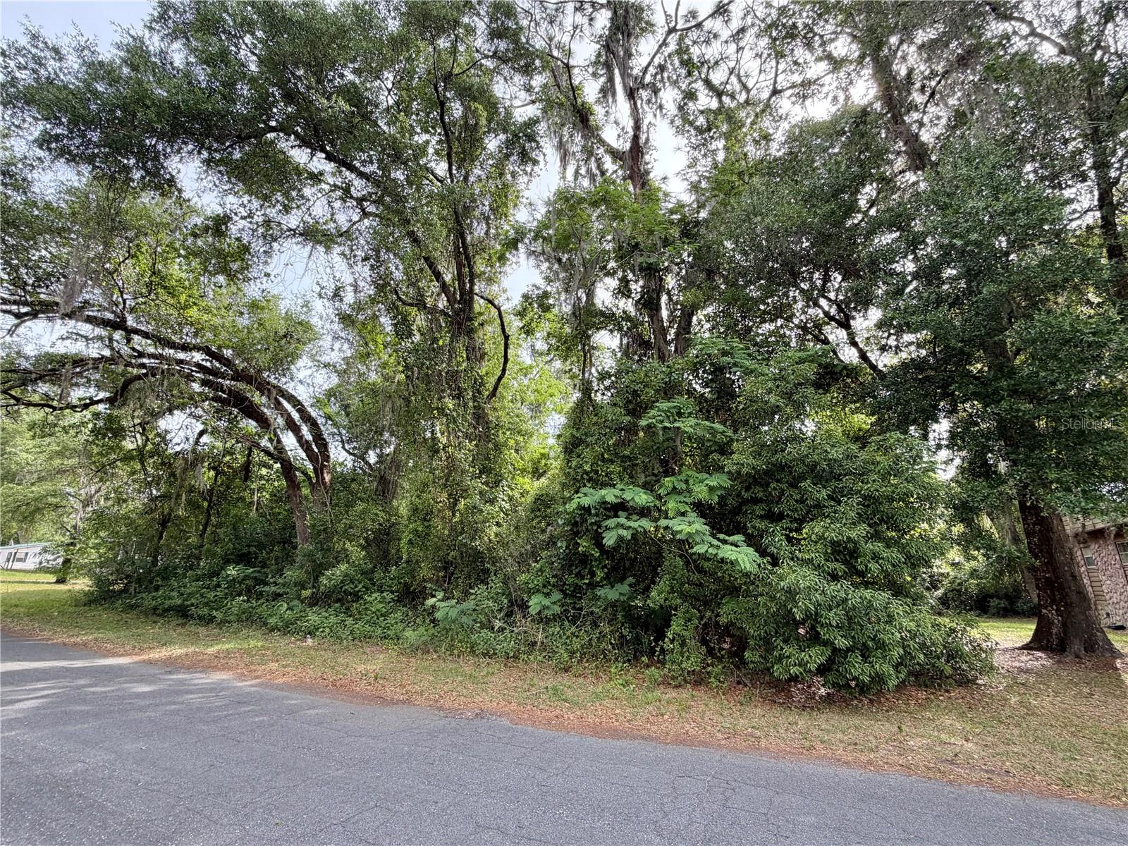 9165 STARFISH AVE, FLORAL CITY, FL, 34436