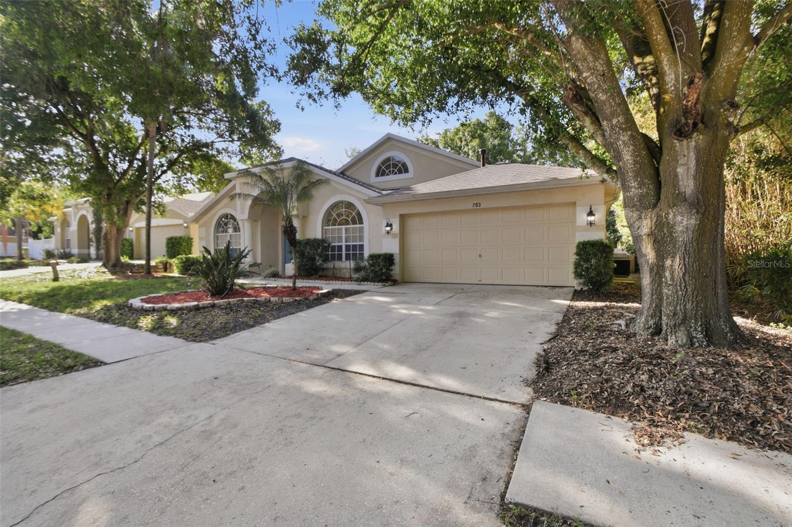 703 GRAND CANYON DR, VALRICO, FL, 33594