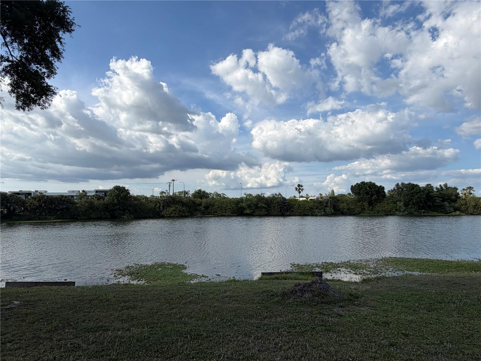 758 BURLWOOD ST, BRANDON, FL, 33511