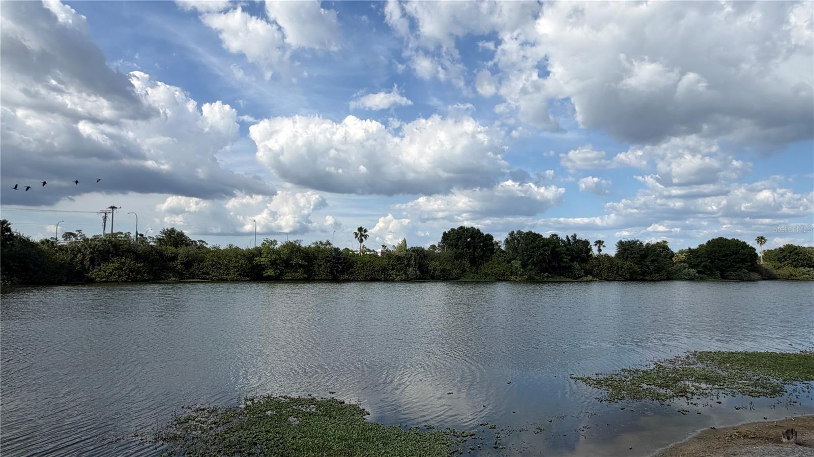 758 BURLWOOD ST, BRANDON, FL, 33511