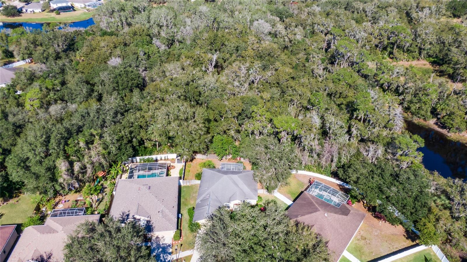 10124 CANNON DR, RIVERVIEW, FL, 33578