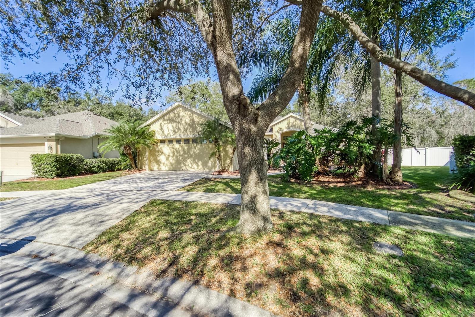 10124 CANNON DR, RIVERVIEW, FL, 33578