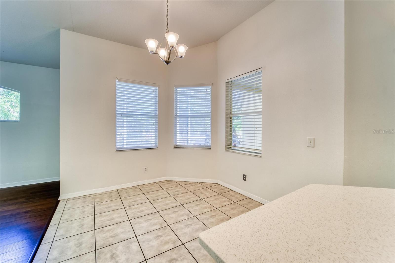 10124 CANNON DR, RIVERVIEW, FL, 33578