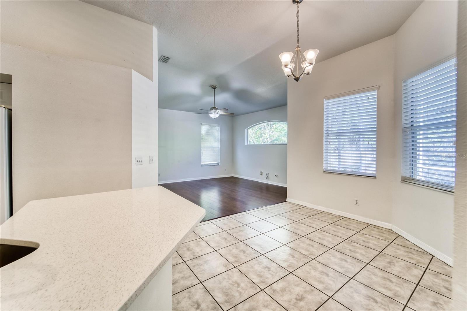 10124 CANNON DR, RIVERVIEW, FL, 33578