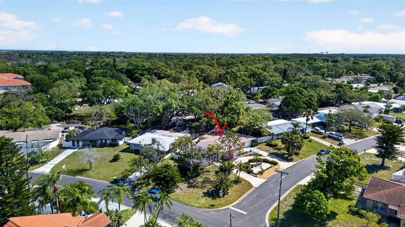 209 WESTWINDS DR, PALM HARBOR, FL, 34683