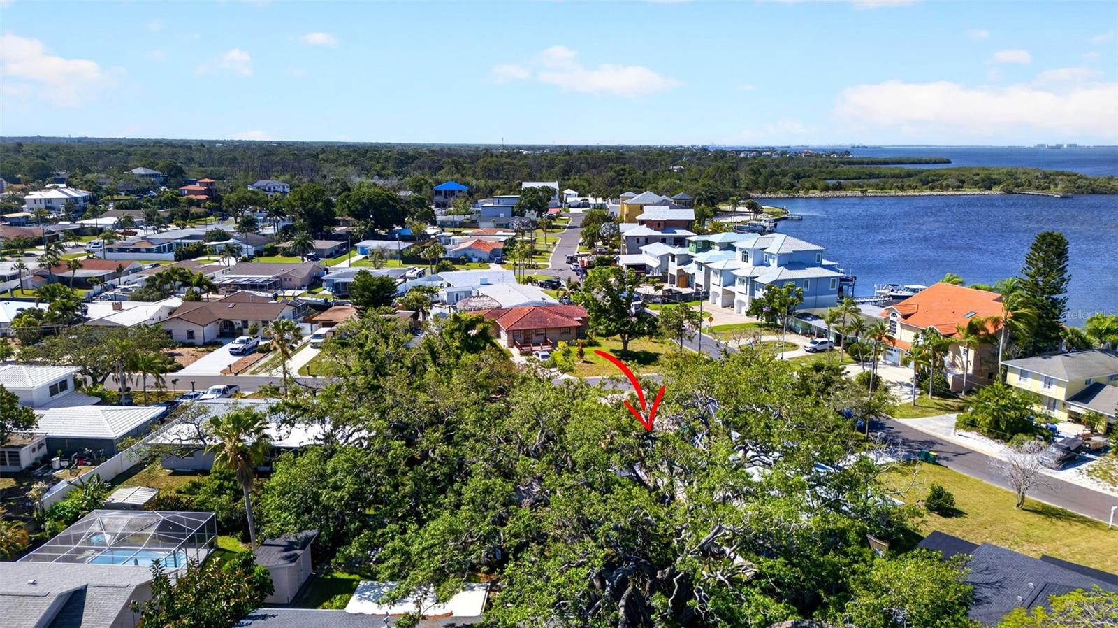 209 WESTWINDS DR, PALM HARBOR, FL, 34683