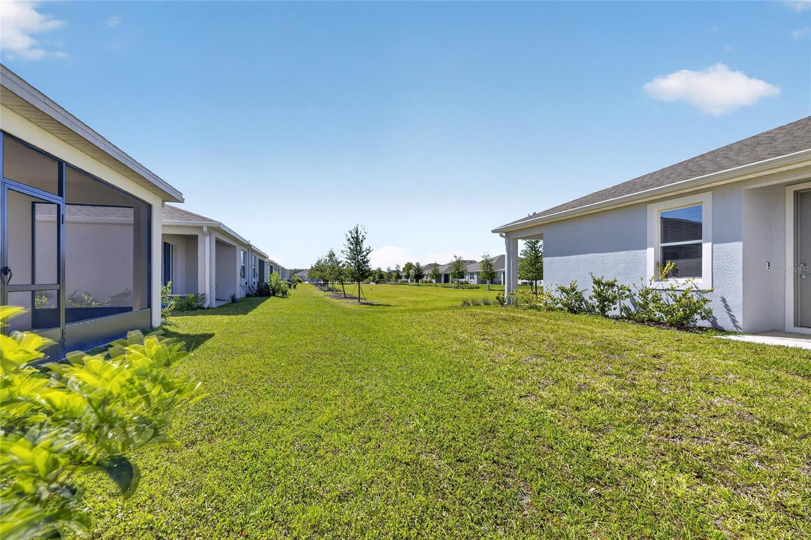 2425 BENDING BONSAI DR, WESLEY CHAPEL, FL, 33543