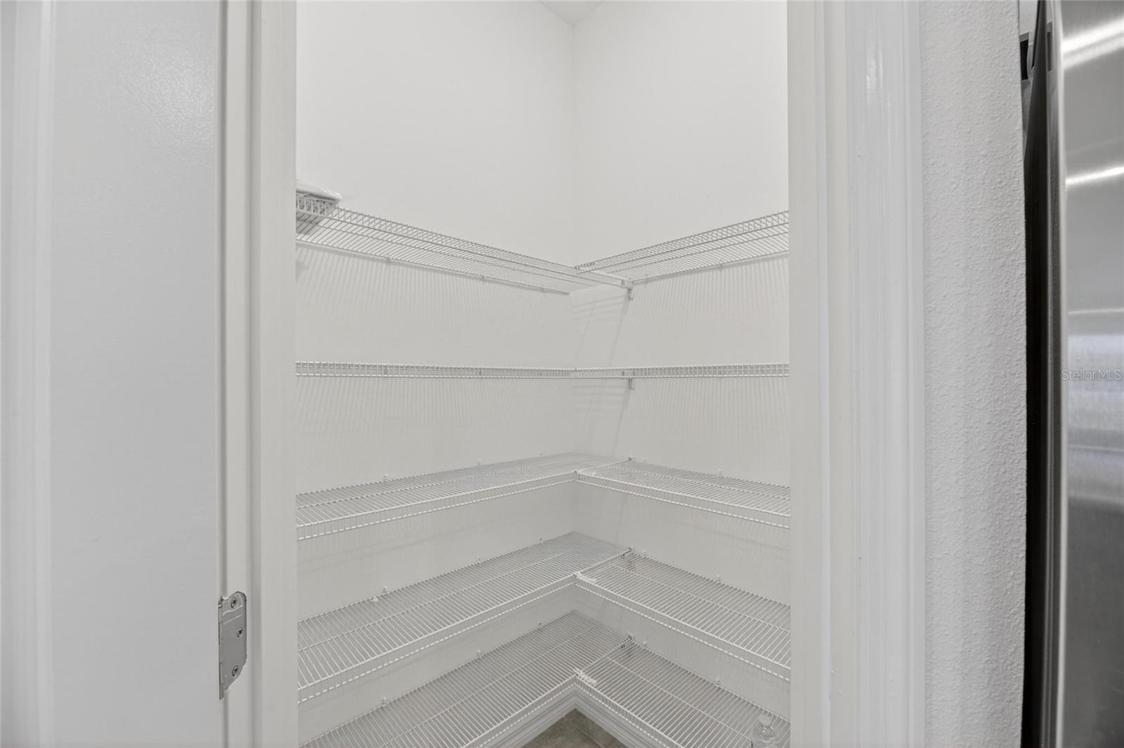 2425 BENDING BONSAI DR, WESLEY CHAPEL, FL, 33543